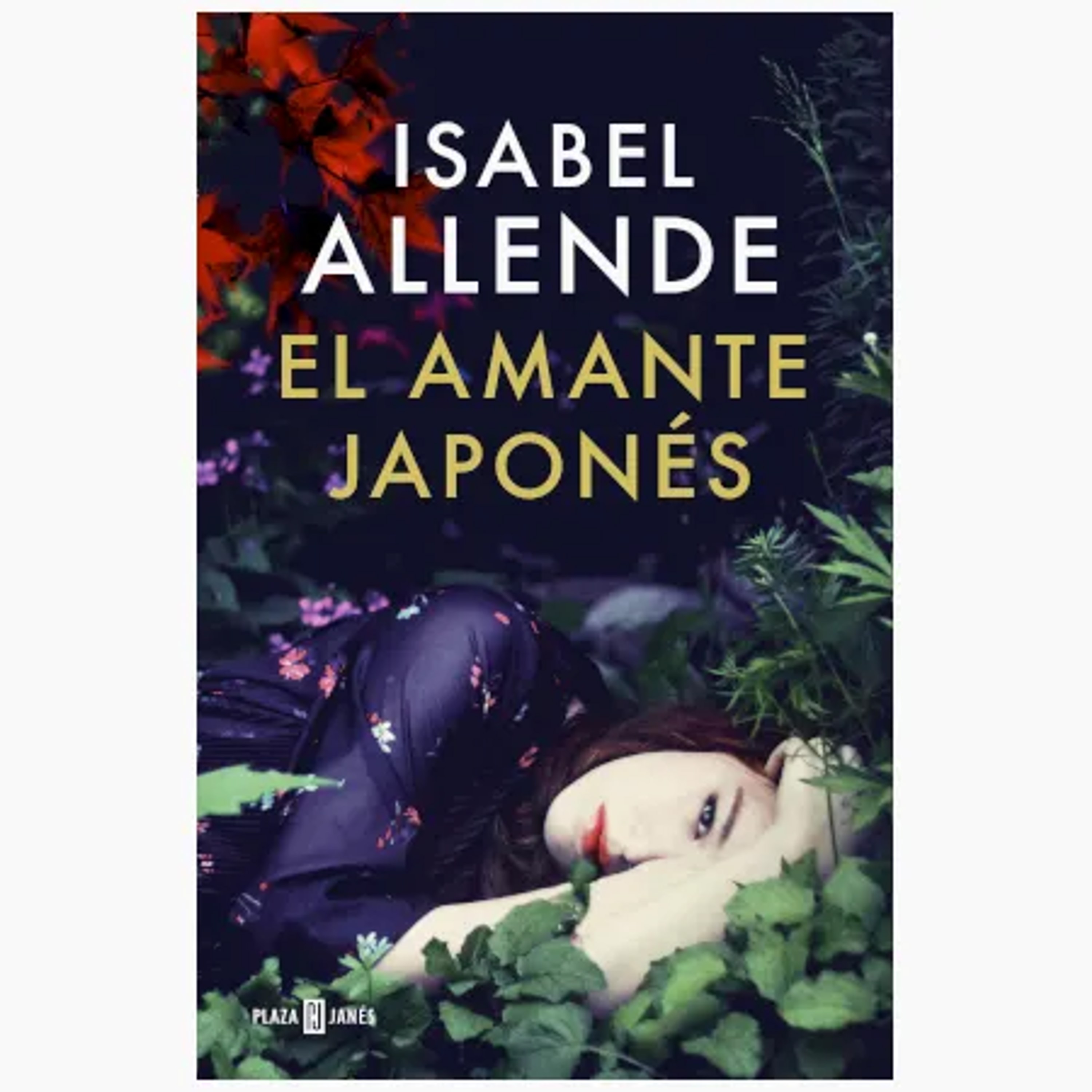 Resumen del libro El amante japonés de Isabel Allende